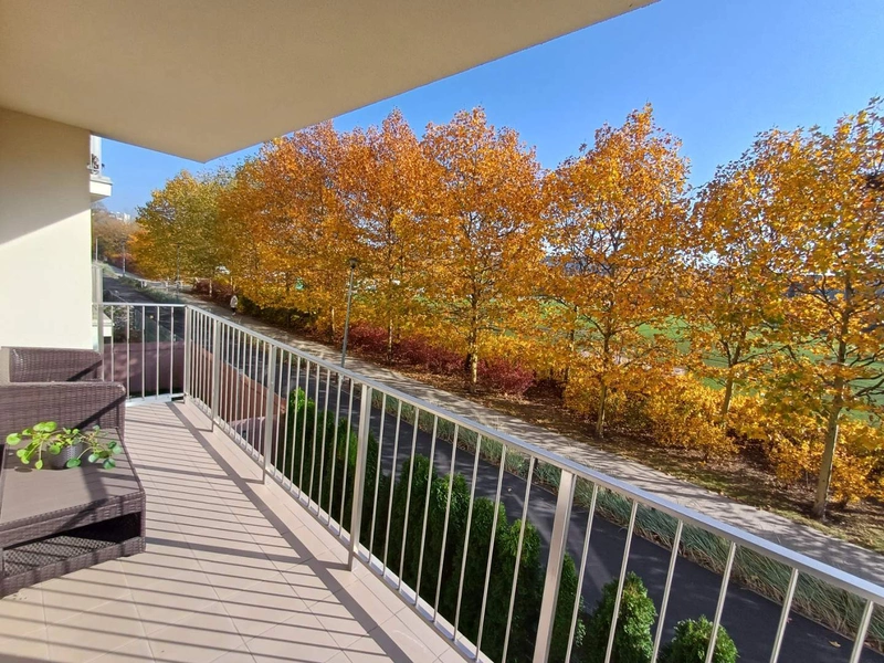 Mieszkanie na Ratajach z widokiem na Park