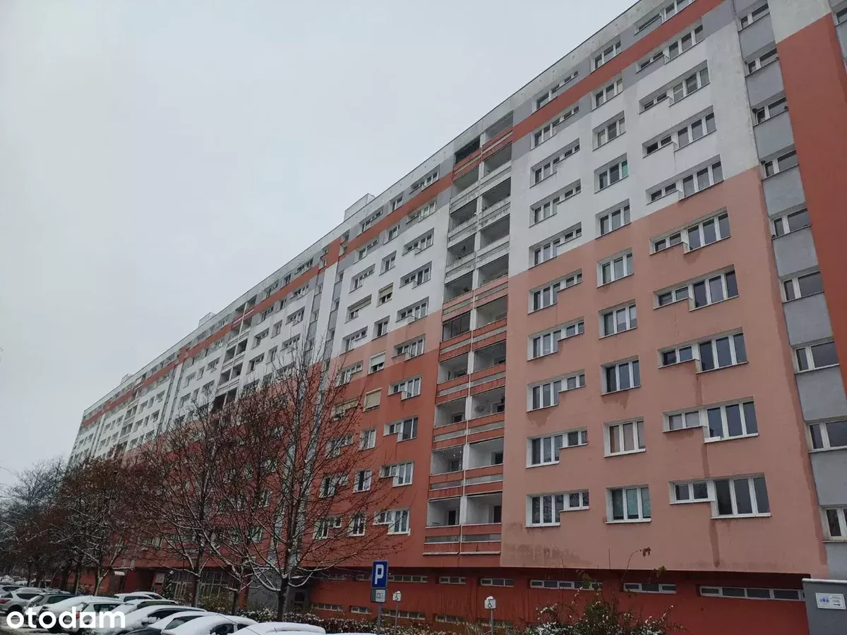 Oferta zarezerwowana do 28.02.26